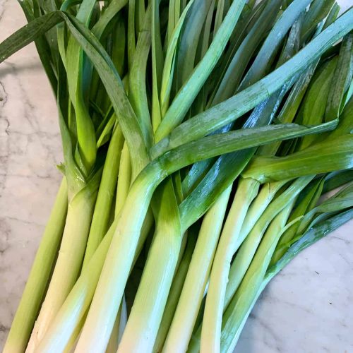 LEEKS IN SYNERGREENS